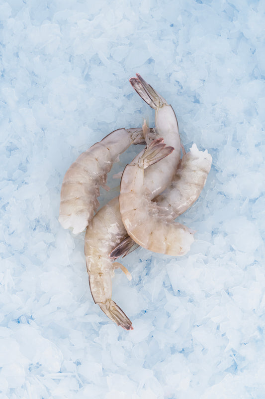 Frozen Shrimp